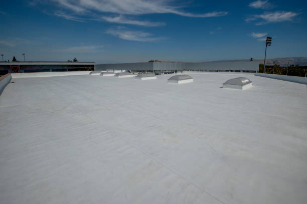 Best Asphalt Shingles Roofing  in Dutch Island, GA