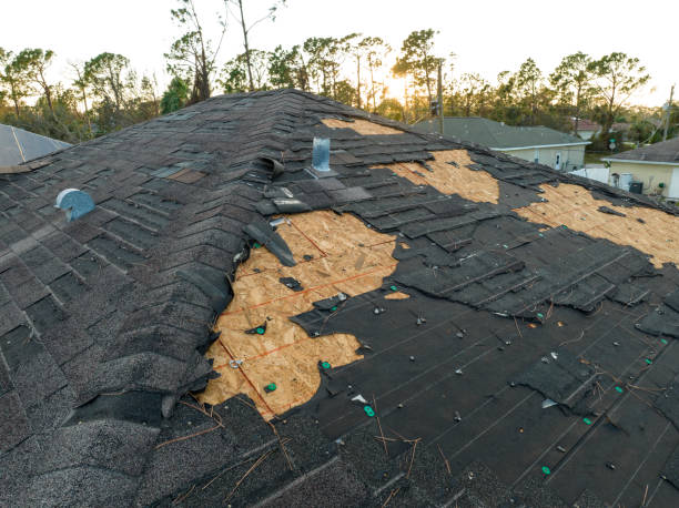 Best Cold Roofs  in Dutch Island, GA