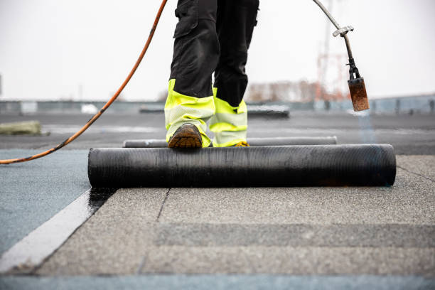 Best Roof Insulation Installation  in Dutch Island, GA