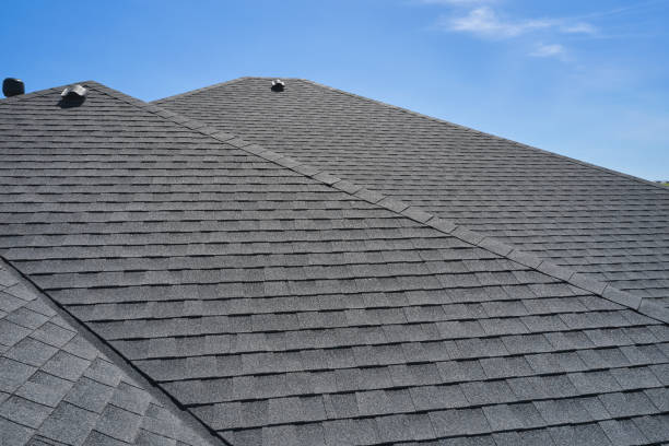 Best Roof Coating and Sealing  in Dutch Island, GA
