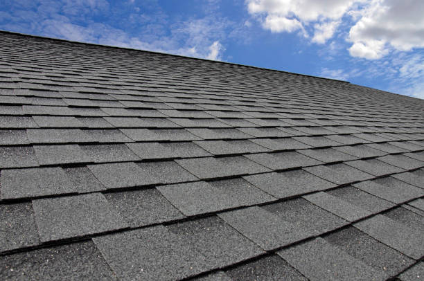 Best 4 Ply Roofing  in Dutch Island, GA