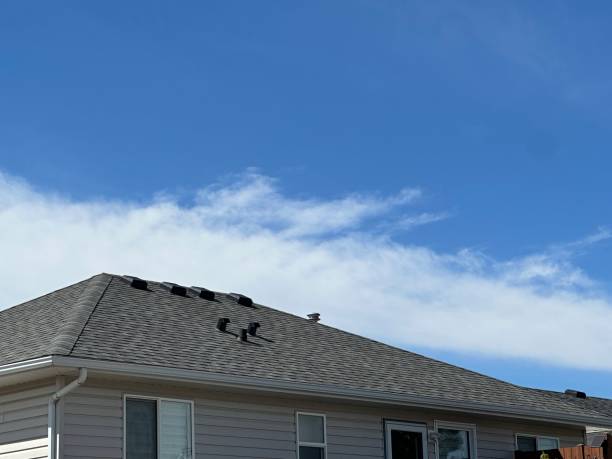 Best Chimney Flashing Repair  in Dutch Island, GA